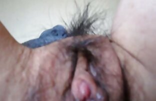 XXX O Porco / / na sexo gratis site seguro Cruz